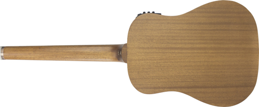 ag_105eq_back.jpg