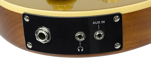 eg-1_custom_gold_jackplate.jpg