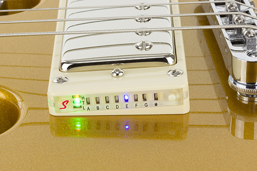eg-1_custom_gold_tuner.jpg