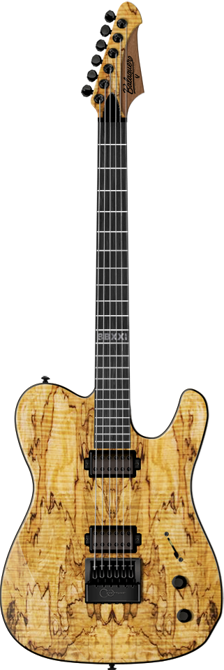 写真：The Woodman BB Baritone Beau Burchell Signature Model The Lightbringer