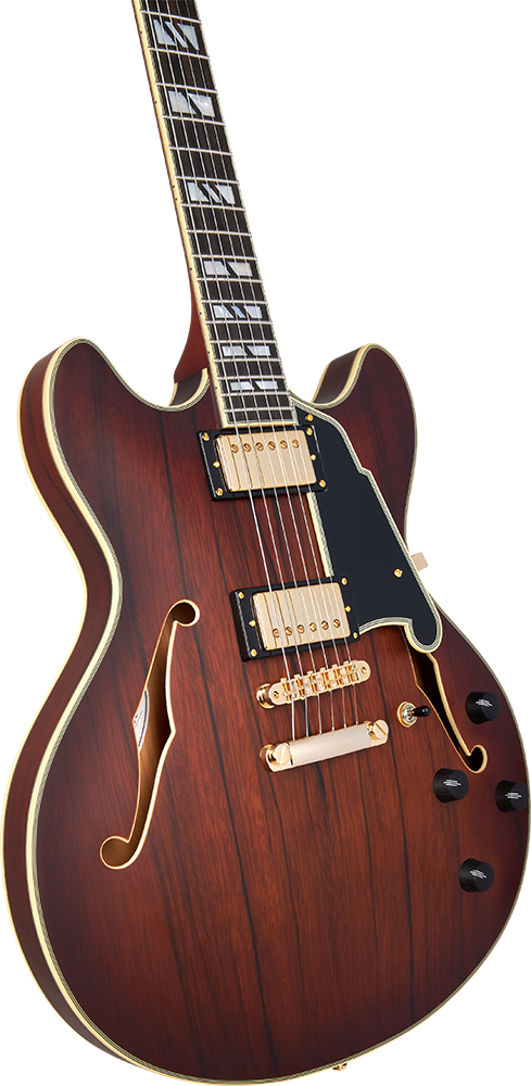 deluxe_dc_satin_brown_burst_bodyup.png