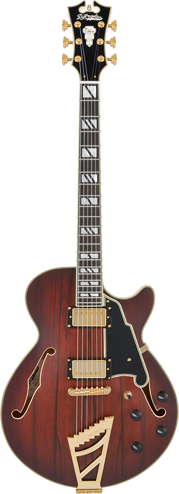 写真：Deluxe SS Satin Brown Burst