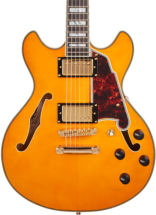 Excel Mini DC Vintage Natural | D'Angelico | 取扱いブランド | 株式