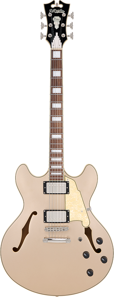 写真:Premier DC XT Satin Desert Gold