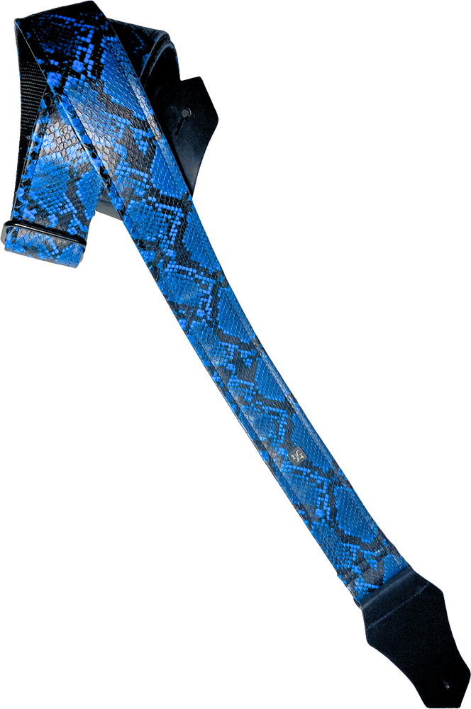 写真:Blue Snake