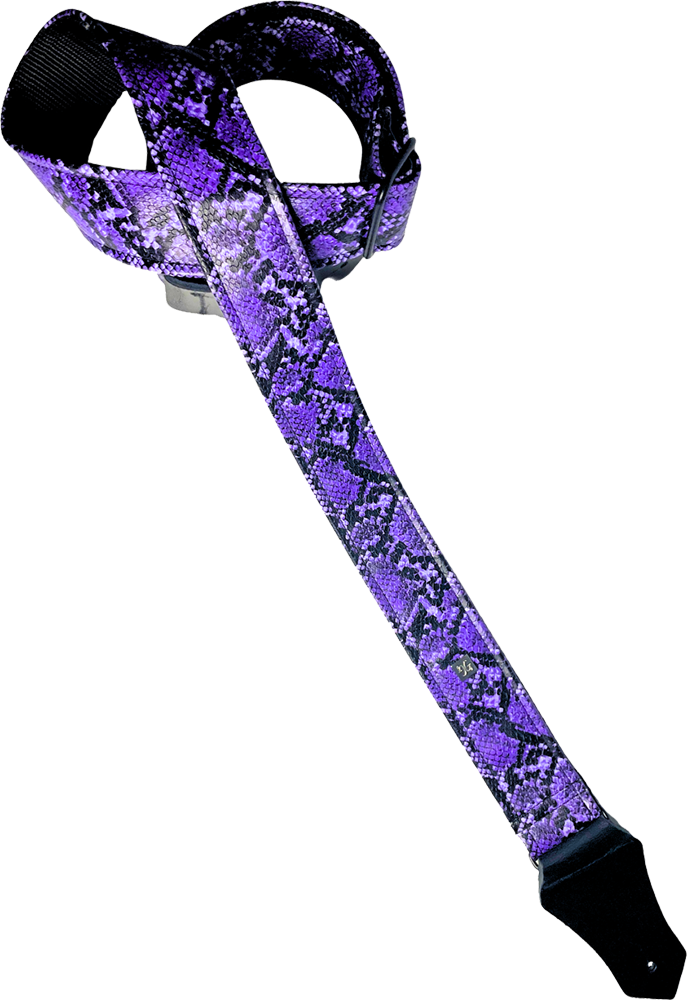 写真:Purple Snake