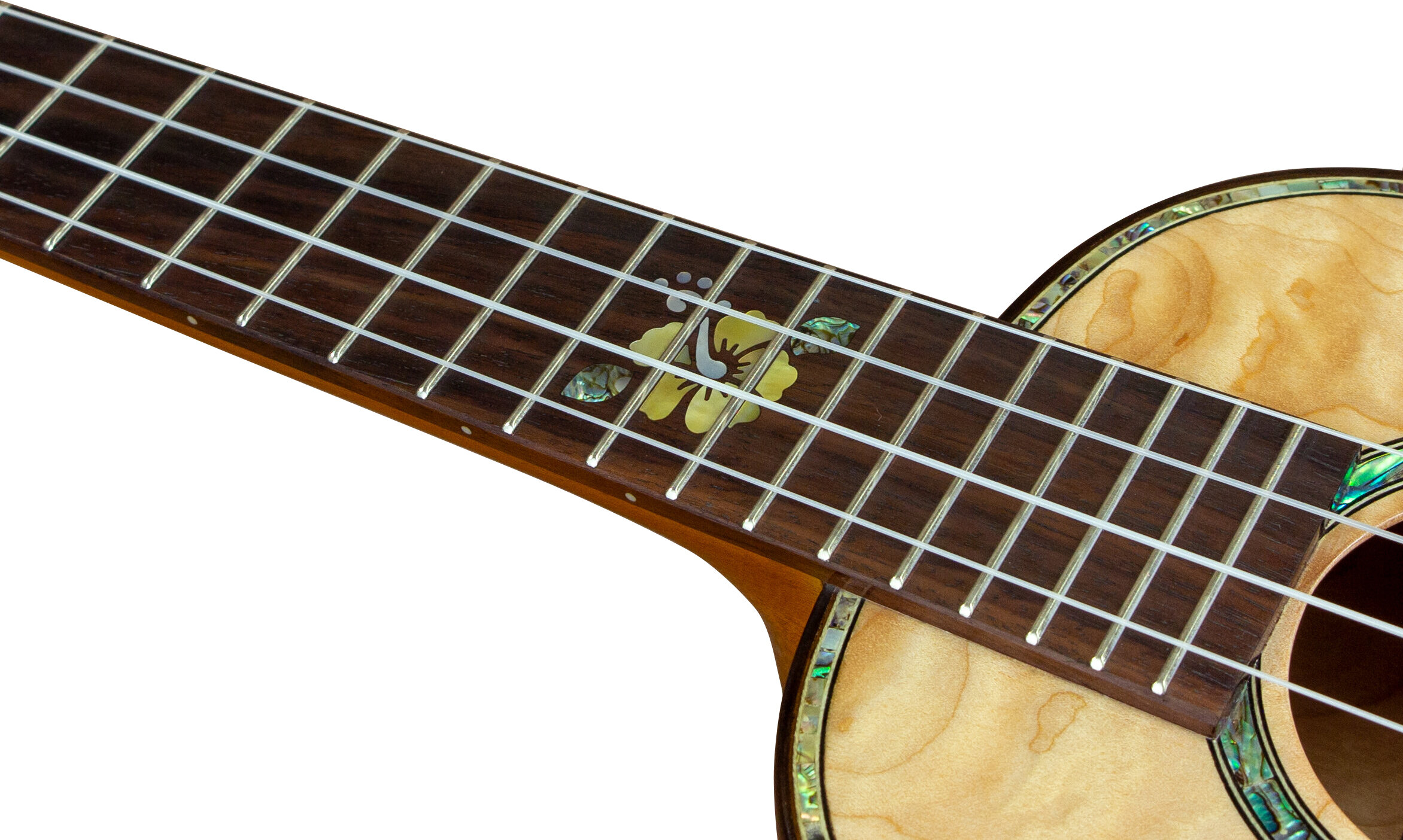 ck450qel_inlay.jpg