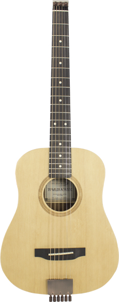 写真：Traveler Acoustic AG-105