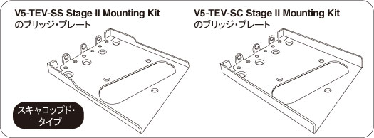 v5_tev_ss_stage_ii_fig.jpg